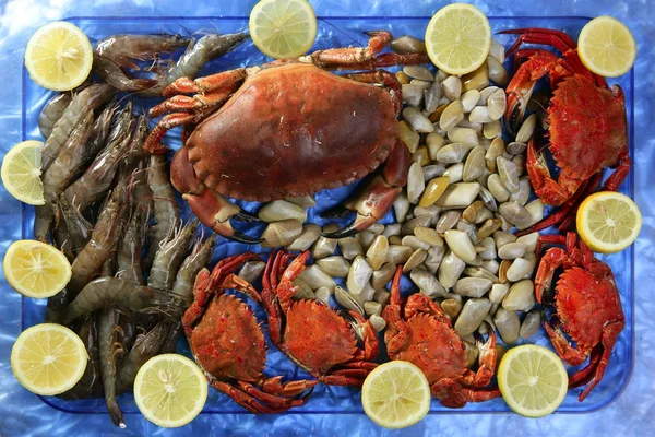 Crabs tellin shrimp clams and lemon — Stock Photo, Image