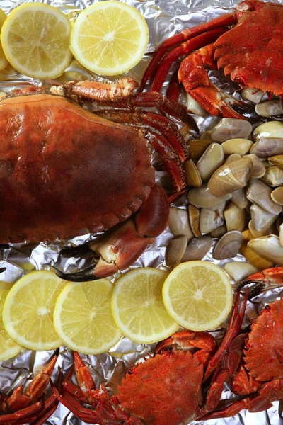 Crabs tellin clams and lemon seafood — Stock Photo, Image