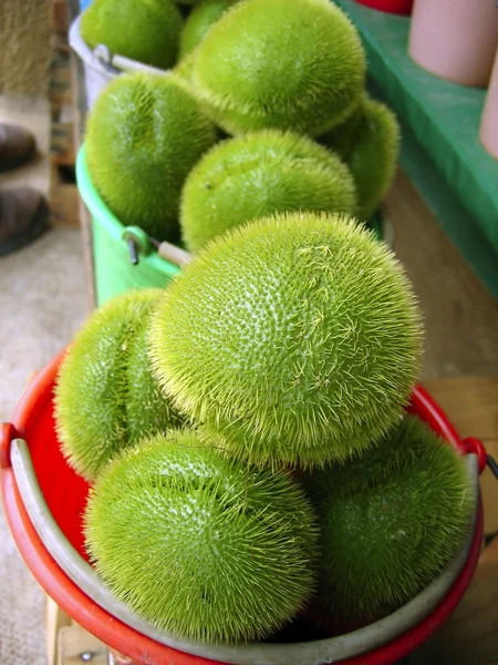 Merliton de poire aux légumes de chayote de courge de mangue — Photo