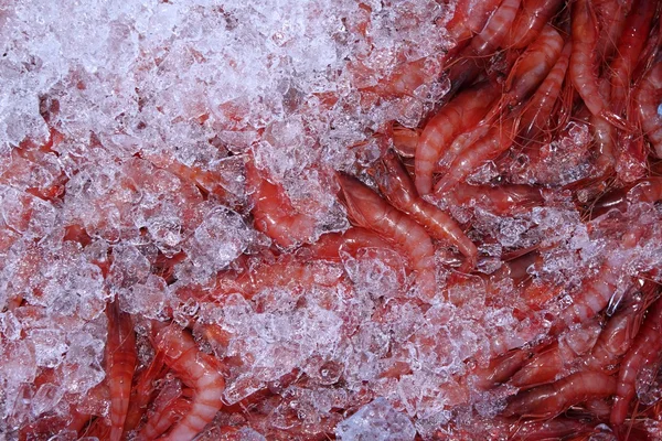 Jég és a Földközi-tengeri garnélarák-piacon — Stock Fotó