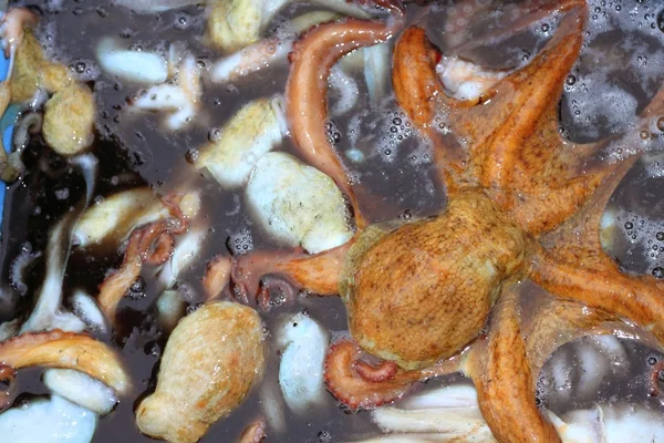 Octopus tengeri lábasfejűek mintás háttérrel — Stock Fotó