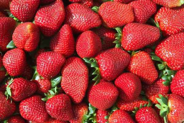 Rode aardbeien patroon in markt vak — Stockfoto