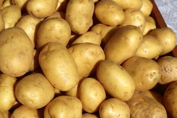 Poratoes beaucoup dans le marché stand jaune brun — Photo
