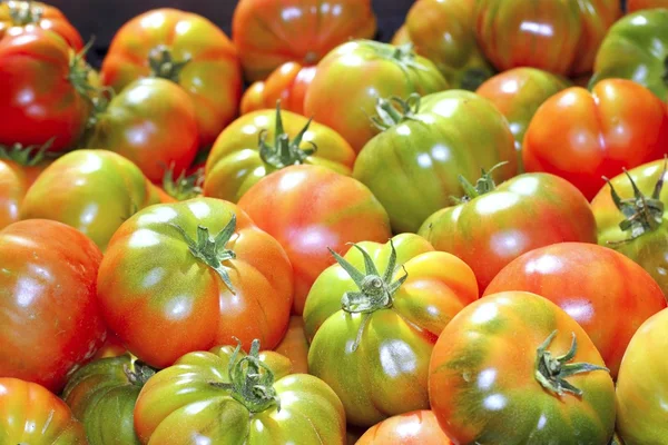 Tomates dans le marché raff tomate légumes — Photo
