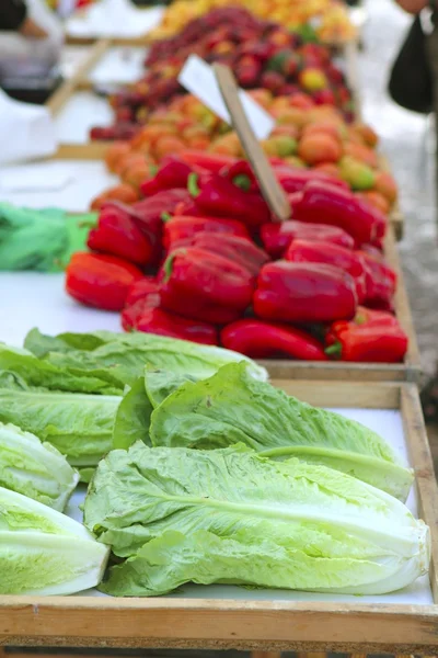 Lechuga tomates de pimiento rojo en la tienda de mercado —  Fotos de Stock