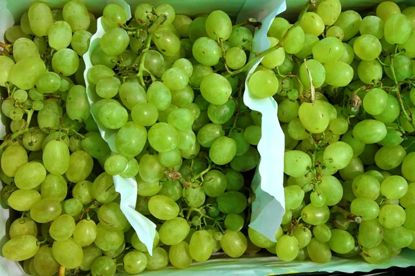 Moscatel grappoli di frutta dell'uva sul mercato — Foto Stock