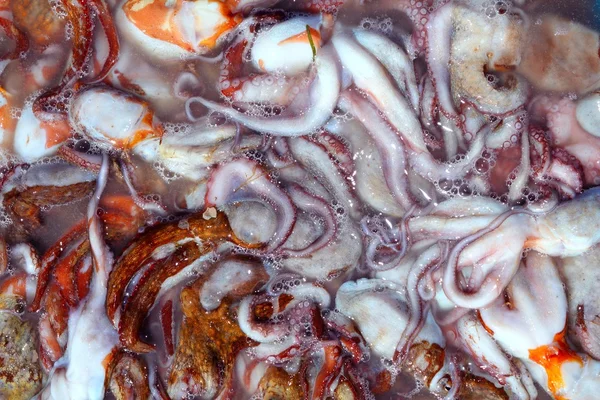 Octopus catch pattern from mediterranean sea — Stock Photo, Image