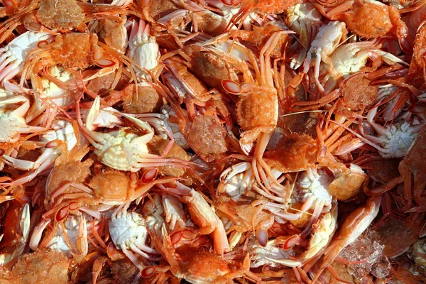 地中海红蟹模式海鲜纹理 — 图库照片