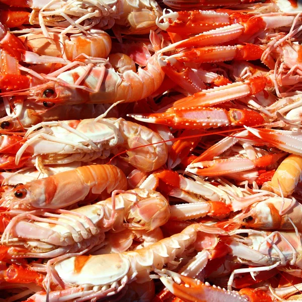 小龙虾 nephrops 褐家鼠的海鲜市场 — 图库照片