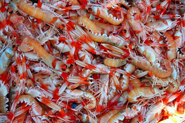 小龙虾 nephrops 褐家鼠的海鲜市场 — 图库照片