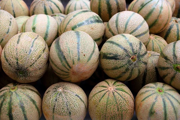Cantaloupemelon rock melon melon spanspek — Stockfoto