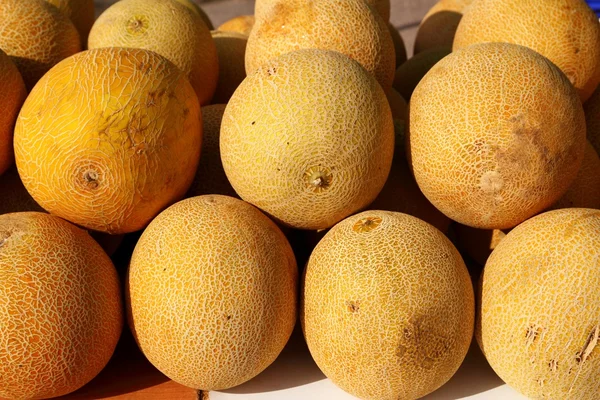 Galia gul melon cucumis melo nätpytonormar — Stockfoto