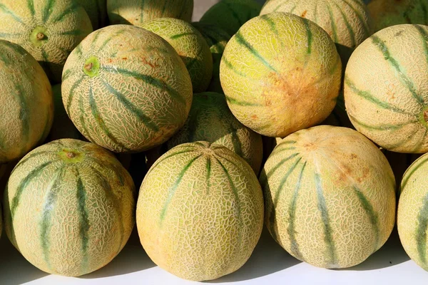 Cantaloupemelon rock melon melon spanspek — Stockfoto