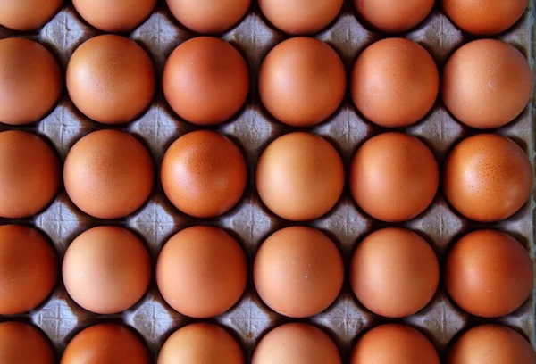 Huevos filas patrón caja comida fondo — Foto de Stock