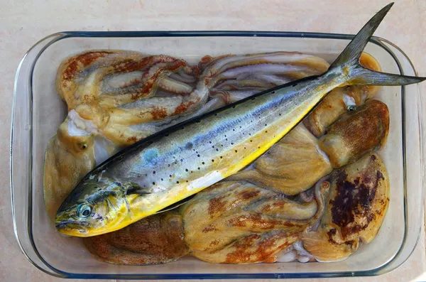 डॉल्फिन मछली डोराडो ऑक्टोपस और कटलफिश — स्टॉक फ़ोटो, इमेज
