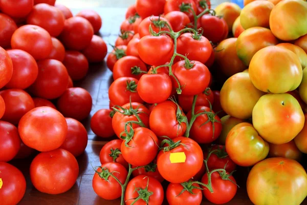 Tomates empilhados no mercado diferentes espécies — Fotografia de Stock