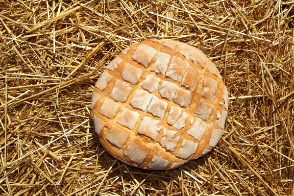 黄金の小麦わら丸パンをパンします。 — ストック写真