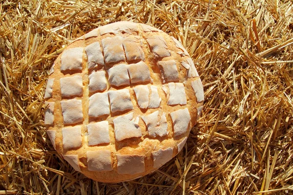 Ψωμί bun γύρο στο χρυσό σιτάρι straw — Φωτογραφία Αρχείου