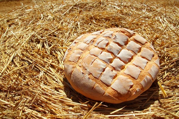 Bread bun round on golden wheat straw — Stock Photo, Image