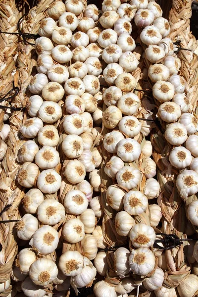 Garlic rows food background pattern — Stock Photo, Image