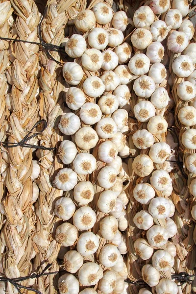 Garlic bundles strings food texture background — Stock Photo, Image