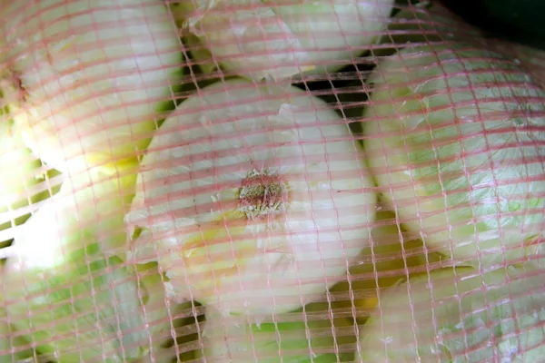 Вид на цибулю з мішкової сітки на ринку — стокове фото