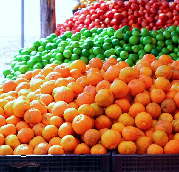 Tangerine oranges lemon and tomatoes — Stock Photo, Image
