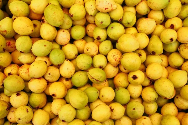Buayaba o guayabilla frutti Psidium guajava Linnaeus — Foto Stock