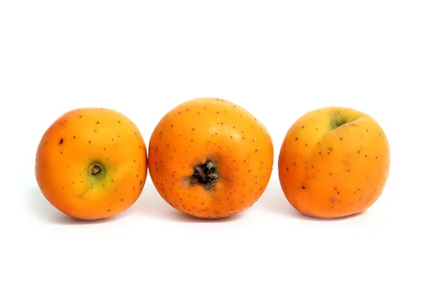 Tecojote vintern frukt crataegus pubescens stipulacea — Stockfoto