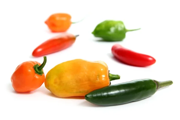 Chili habanero serrano gorące meksykańskie papryki — Zdjęcie stockowe