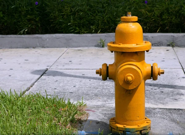 Amerikanischer Schlauchhydrant, städtischer Brandschutz — Stockfoto