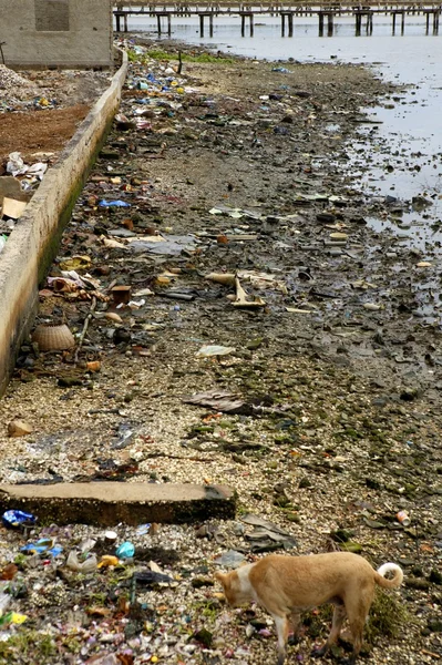 Brudny krajobraz rzeki ze śmieci, Afryka — Zdjęcie stockowe