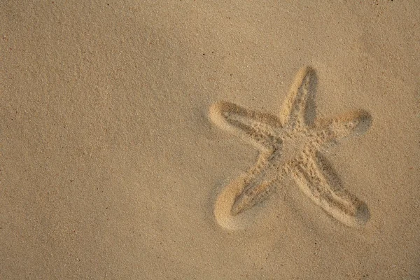 Starfish footprint over caribbean sand — Stock Photo, Image