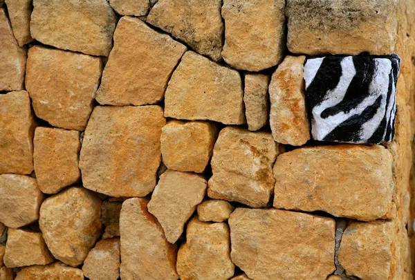Unique, alone, one zebra texture painted stone — Stock Photo, Image