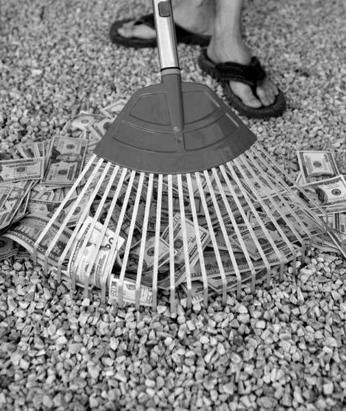 Städning svart dolar pengar med rake, metafor — Stockfoto