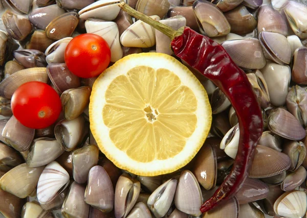 Almejas con tomate, chile y limón, mariscos —  Fotos de Stock
