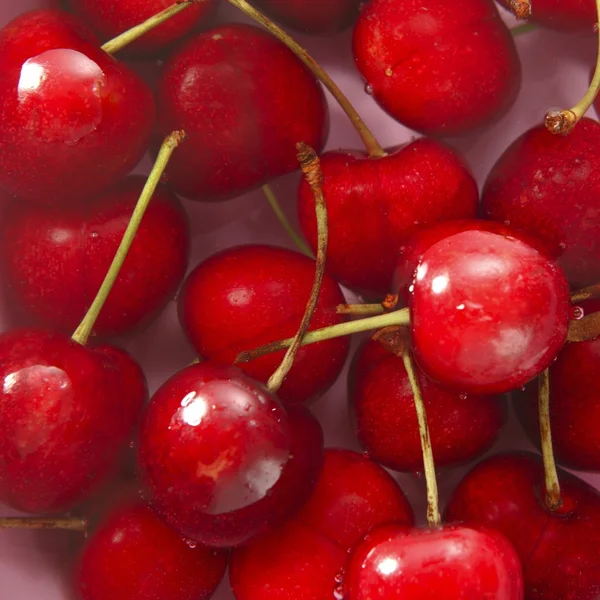 Cherry red fruits square macro on water — Stock Photo, Image
