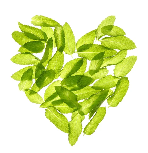 Basil mint leaves heart shape isolated on white — Stock Photo, Image