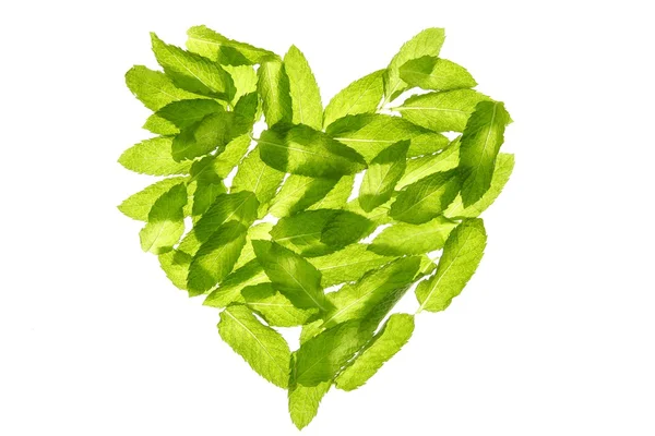 Basil minth leaves hearth shape isolated on white — Stock Photo, Image