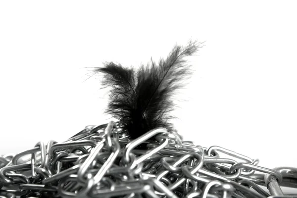 Steel chain mess and soft feather contrast — Stock Photo, Image