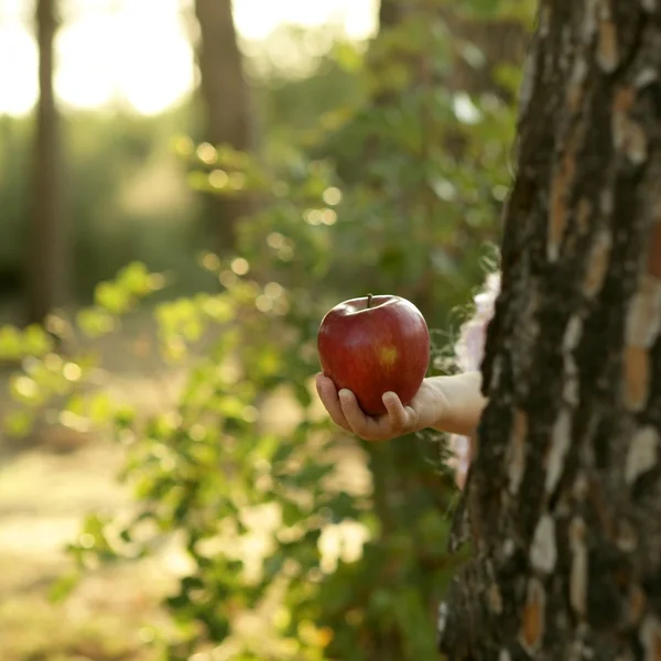 Dziewczynka fantazja gospodarstwa czerwone jabłko w lesie — Zdjęcie stockowe