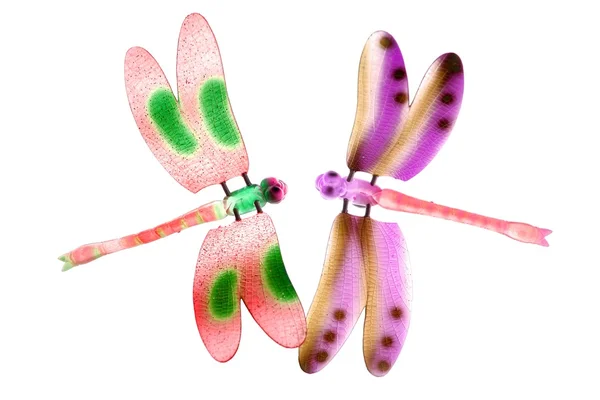 Deux insectes volants de libellule colorés isolés — Photo