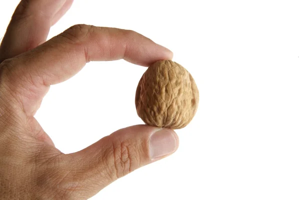 Two fingers of human hand holding a nut — Stock Photo, Image