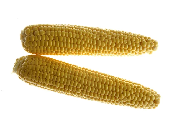Два жёлтых кукурузных початка с сильным освещением — стоковое фото