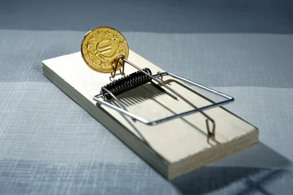 Credit money is a mouse trap — Stock Photo, Image