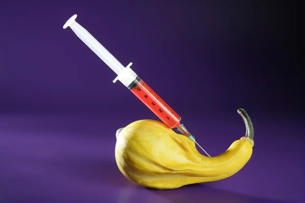 Manipulação de abóbora com seringa — Fotografia de Stock