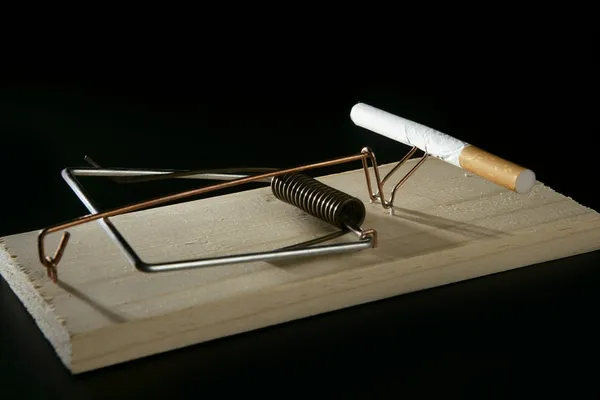 マウス トラップとしてタバコ adicction — ストック写真