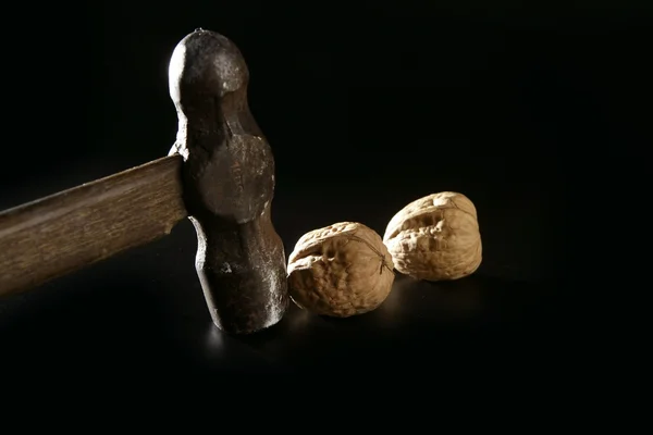 Традиційний класичний горіховий молоток — стокове фото