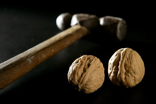Tradiční klasický ořech kladivo — Stock fotografie