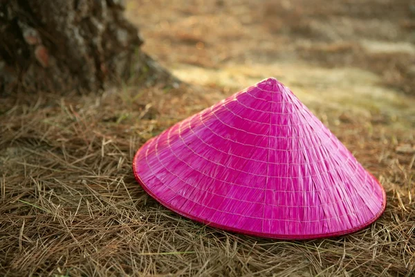 Chapéu menina rosa Chinesse sobre o chão da floresta — Fotografia de Stock